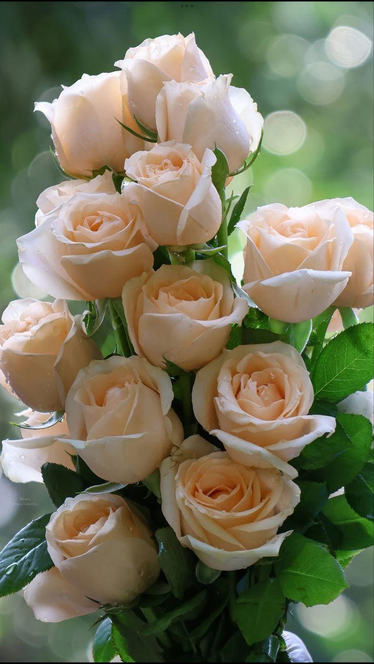 Canvas Route Hub workshop space where corporate flower arrangements are designed and prepared for business delivery